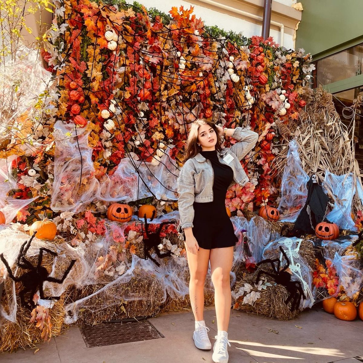 Meila Codruța (Coco) la test