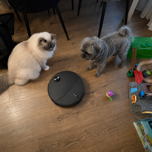 Atunci când casa începe să aibă grijă singură de ea: experiența Roborock Qrevo Edge 2