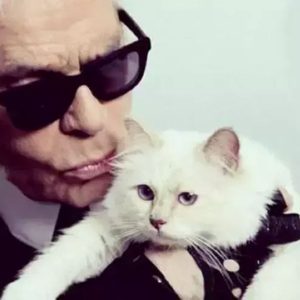 Ce s-a întâmplat cu moștenirea lui Choupette, celebra pisică a lui Karl Lagerfeld. Felina în vârstă de 14 ani, în pragul falimentului la 7 ani de la moartea designerului