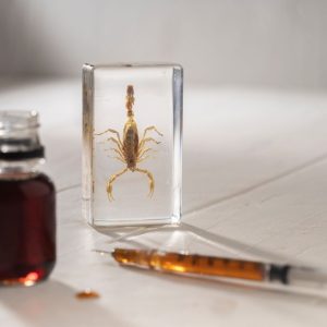 La ce folosește veninul de scorpion și de ce este atât de scump