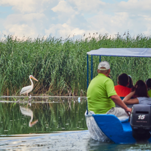Excursii cu barca în Delta Dunării: ce trasee merită alese 