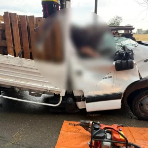 Tragedie în Ilfov. Un bărbat a murit în timpul furtunii de aseară, după ce un copac a căzut peste mașina în care se afla