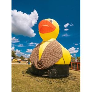 Ținute de festival fără „dacă” și „parcă”. Zalando transformă rața emblematică de la Electric Castle