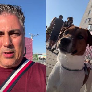 Alexandru Ciucu, după ce s-a plâns că nu a putut să intre cu animalul de companie la Nibiru, stațiunea lui Selly: „N-am crezut că o să iasă așa mare discuție”. Ce i-a spus fiica cea mare tatălui ei