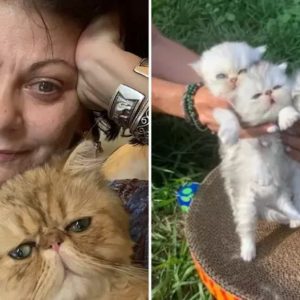 Elena Cârstea, decizie radicală, la 63 de ani, din cauza problemelor de sănătate: „Trebuie să am mai multă grijă de mine și nu am voie să fac prea mult efort”