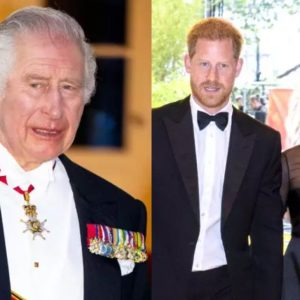 Regele Charles, prima reacție după revenirea lui Harry și Meghan în Marea Britanie. Ce statut au acum Ducii de Sussex: „Poziția lor este similară celei a unor cetățeni privați”