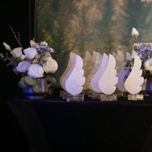 Gala BrandRO 2026. Care sunt cele mai puternice branduri românești