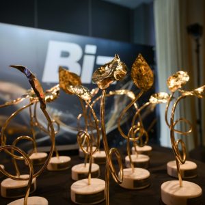 Cei mai performanți și inovatori comunicatori sunt laureații Biz PR Awards 2026