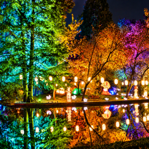 Bucureștiul a pornit în „Ocolul Pământului”: 15.000 de vizitatori în primele trei zile la Lumina Park