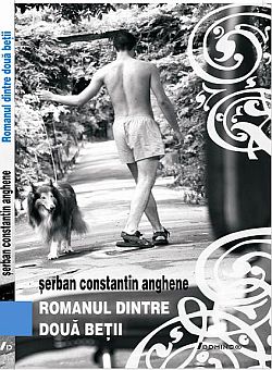 Romanul dintre doua batii, Serban Constantin Anghene